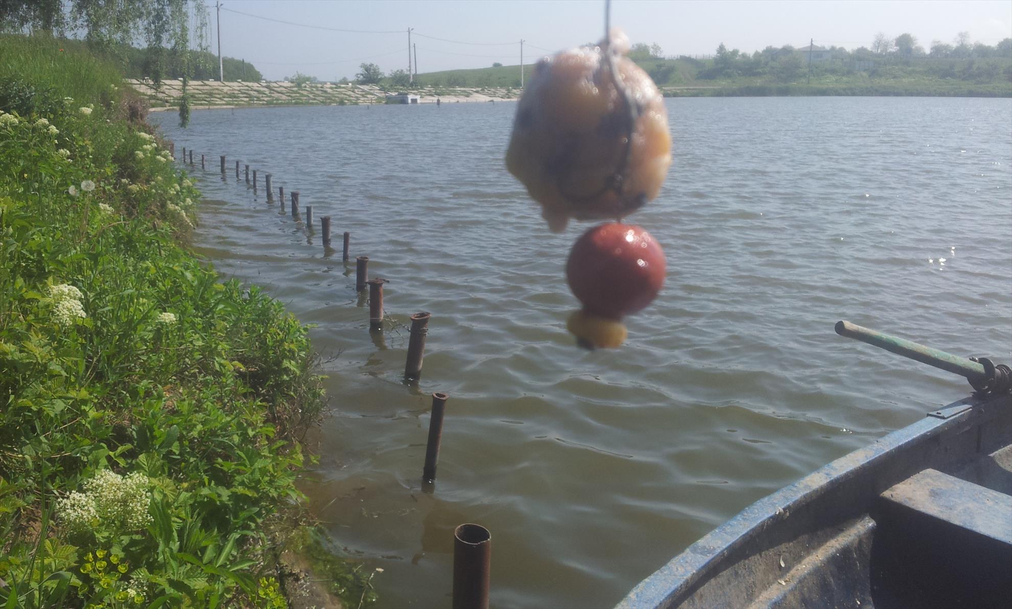 Moara Vlasiei 2, 3 mai 2014 - Nada pentru peste